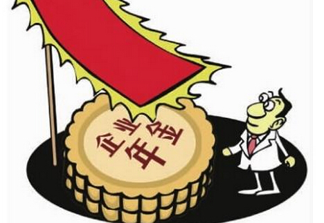 职业年金.jpg